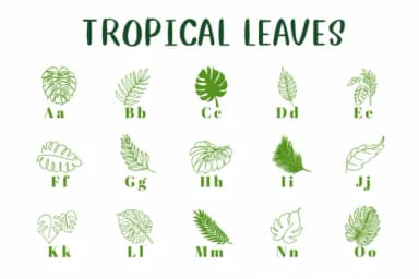 Tropical Leaves by CHANOK — Dingbats Font — thumbnail 2