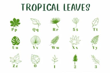 Tropical Leaves by CHANOK — Dingbats Font — thumbnail 3