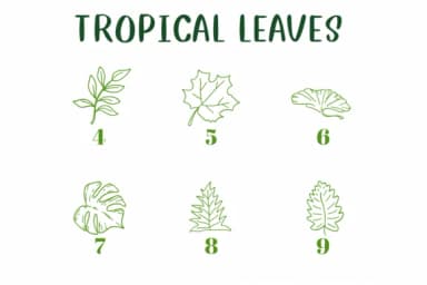 Tropical Leaves by CHANOK — Dingbats Font — thumbnail 4