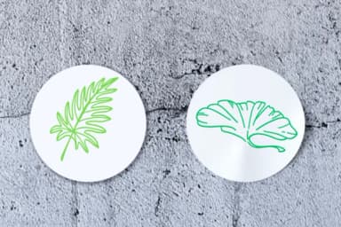 Tropical Leaves by CHANOK — Dingbats Font — thumbnail 7