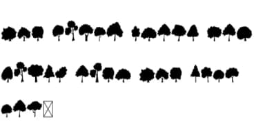 Tropical Tree by Eystore — Dingbats Font — thumbnail 5