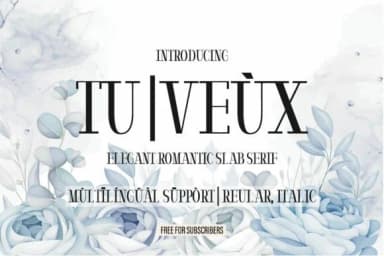 Tu | Veùx by Minimalistartstudio — Slab Serif Font — thumbnail 1