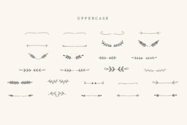 Tumbler Divider by CraftedType Studio — Dingbats Font — thumbnail 2