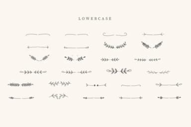 Tumbler Divider by CraftedType Studio — Dingbats Font — thumbnail 3