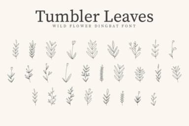 Tumbler Leaves by CraftedType Studio — Dingbats Font — thumbnail 1