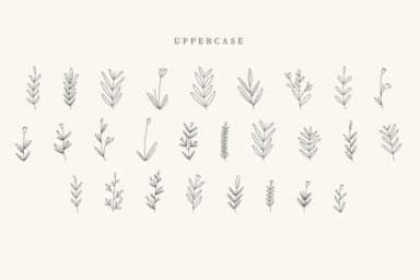 Tumbler Leaves by CraftedType Studio — Dingbats Font — thumbnail 2