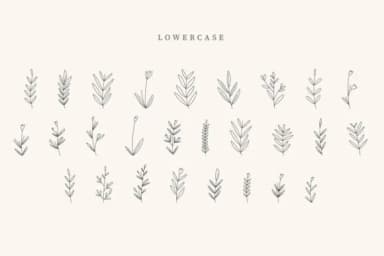 Tumbler Leaves by CraftedType Studio — Dingbats Font — thumbnail 3