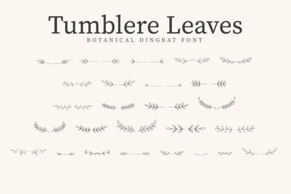 Tumblere Leaves by CraftedType Studio — Dingbats Font