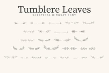 Tumblere Leaves by CraftedType Studio — Dingbats Font — thumbnail 1