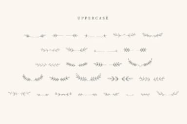 Tumblere Leaves by CraftedType Studio — Dingbats Font — thumbnail 2