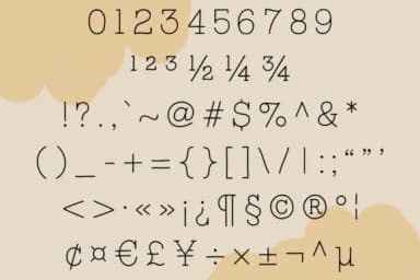 Tupelo Honey by One Twenty Studio — Slab Serif Font — thumbnail 3