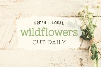 Tupelo Honey by One Twenty Studio — Slab Serif Font — thumbnail 6