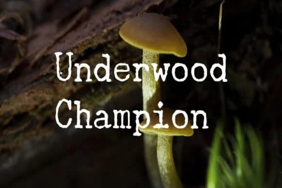 Underwood Champion by Freebies — Slab Serif Font
