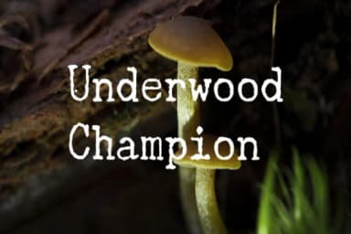 Underwood Champion by Freebies — Slab Serif Font — thumbnail 1