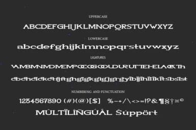 Union Slab by gunaloe12 — Slab Serif Font — thumbnail 2