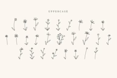 Valentine Flower by CraftedType Studio — Dingbats Font — thumbnail 2