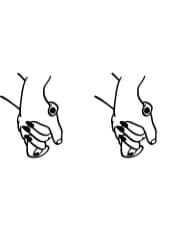 Valentine Holding Hands by Heartcraft Atelier — Dingbats Font — thumbnail 8