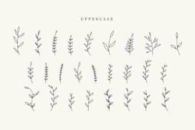 Valentine Leaves by CraftedType Studio — Dingbats Font — thumbnail 2