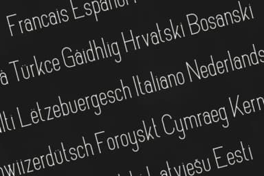 Varna by vladfedotovv — Slab Serif Font — thumbnail 3