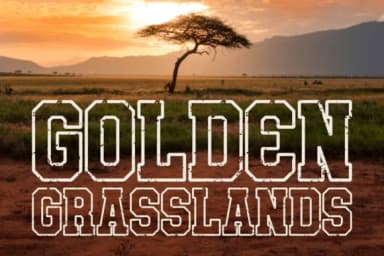 Varsity Season by Pian45 — Slab Serif Font — thumbnail 5