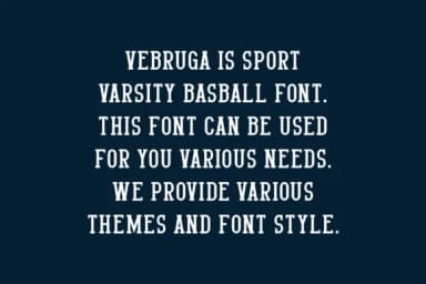 Vebruga by IqsiartStudio — Slab Serif Font — thumbnail 4