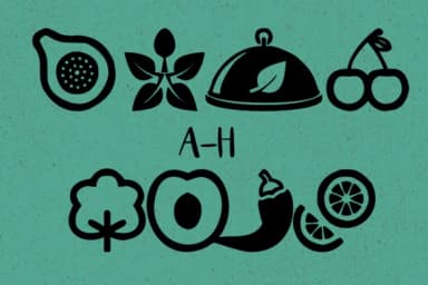 Vegan by Minimalistartstudio — Dingbats Font — thumbnail 2