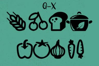 Vegan by Minimalistartstudio — Dingbats Font — thumbnail 4