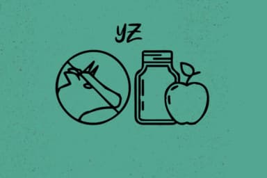 Vegan by Minimalistartstudio — Dingbats Font — thumbnail 5