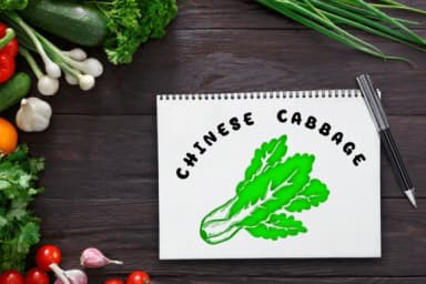 Vegetable by PraewDesigns — Dingbats Font — thumbnail 6