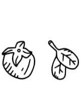 Veggie Doodle by CrafterFonts — Dingbats Font — thumbnail 4