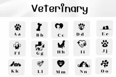 Veterinary by Ketsarin — Dingbats Font — thumbnail 2