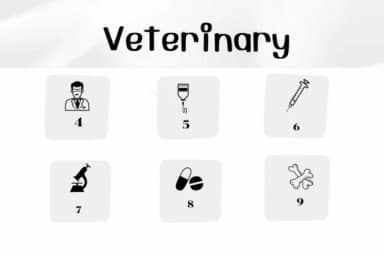 Veterinary by Ketsarin — Dingbats Font — thumbnail 4