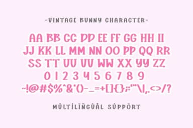 Vintage Bunny by CraftedType Studio — Slab Serif Font — thumbnail 3