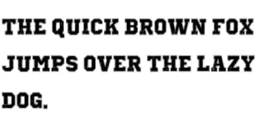 Vintage Dusty by Riki.studio — Slab Serif Font — thumbnail 7