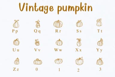 Vintage Pumpkin by Nongyao — Dingbats Font — thumbnail 3