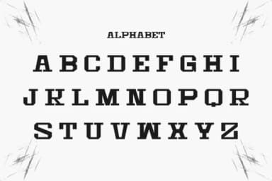 Vintage Sticker by Intype Studio — Slab Serif Font — thumbnail 5