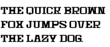 Vintage Sticker by Intype Studio — Slab Serif Font — thumbnail 8