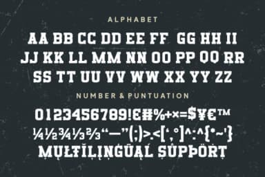 Vintage Talkins by Riman (7NTypes) — Slab Serif Font — thumbnail 5