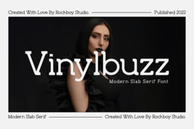 Vinylbuzz by RockboyStudio — Slab Serif Font — thumbnail 1