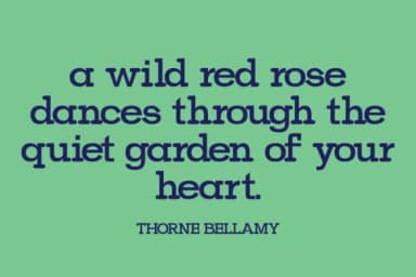 Virena by Minimalistartstudio — Slab Serif Font — thumbnail 3