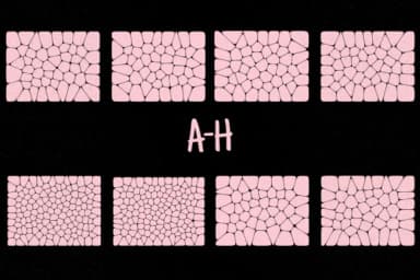 Voronoi Diagram by Minimalistartstudio — Dingbats Font — thumbnail 2