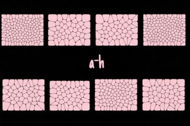 Voronoi Diagram by Minimalistartstudio — Dingbats Font — thumbnail 5