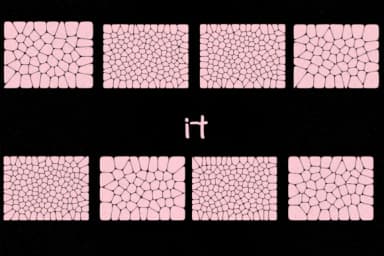 Voronoi Diagram by Minimalistartstudio — Dingbats Font — thumbnail 6