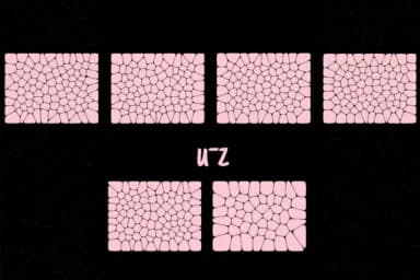 Voronoi Diagram by Minimalistartstudio — Dingbats Font — thumbnail 7