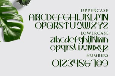 Wandara by prayoga_std — Slab Serif Font — thumbnail 3