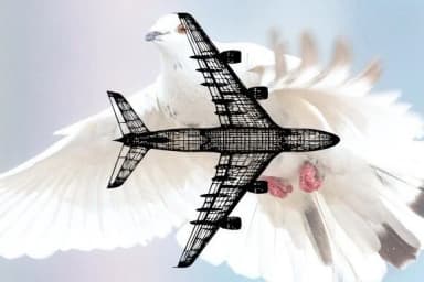 War Items by vladimirnikolic — Dingbats Font — thumbnail 2