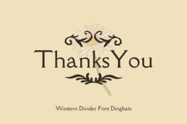 Wastern Divider by Sakti Avellin — Dingbats Font — thumbnail 4