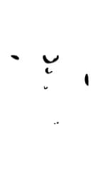 Water Droplet Glyphs by GraphicsBam Fonts — Dingbats Font — thumbnail 3