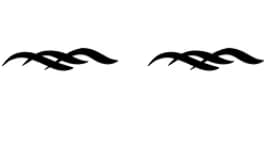 Wave Swash Elements by Heartcraft Atelier — Dingbats Font — thumbnail 8