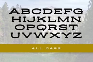 Way West by stompstock — Slab Serif Font — thumbnail 3